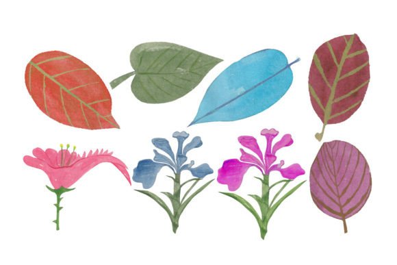 Flowers and Leaves Set Watercolor Graphics