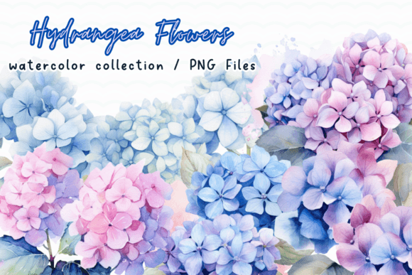 Hydrangea Flowers Watercolor Clipart: Graphics for Creative Design