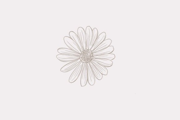 Individual Flowers: Graphics and Illustrations for Real Projects