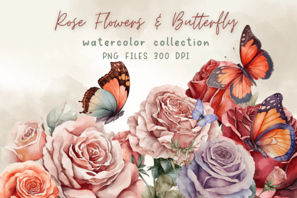 Rose Flowers Watercolor Butterfly Graphics