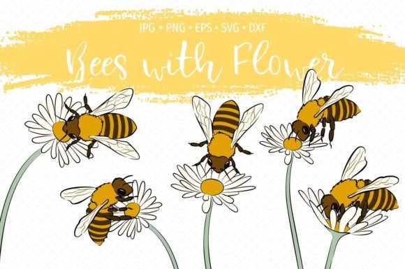 Spring Bees on Flowers Bundle Clipart: Graphics & Illustrations for Real Publishing