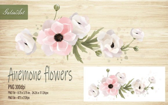 Watercolor Branch of Flowers Anemone